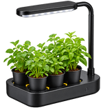 Indoor Herb Gardening