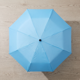 Capsule Shape Mini Folding Umbrella with Storage Case